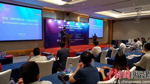 厦门软件业发展白皮书发布 去年收入占全省半壁江山，电子产品销售表现亮眼